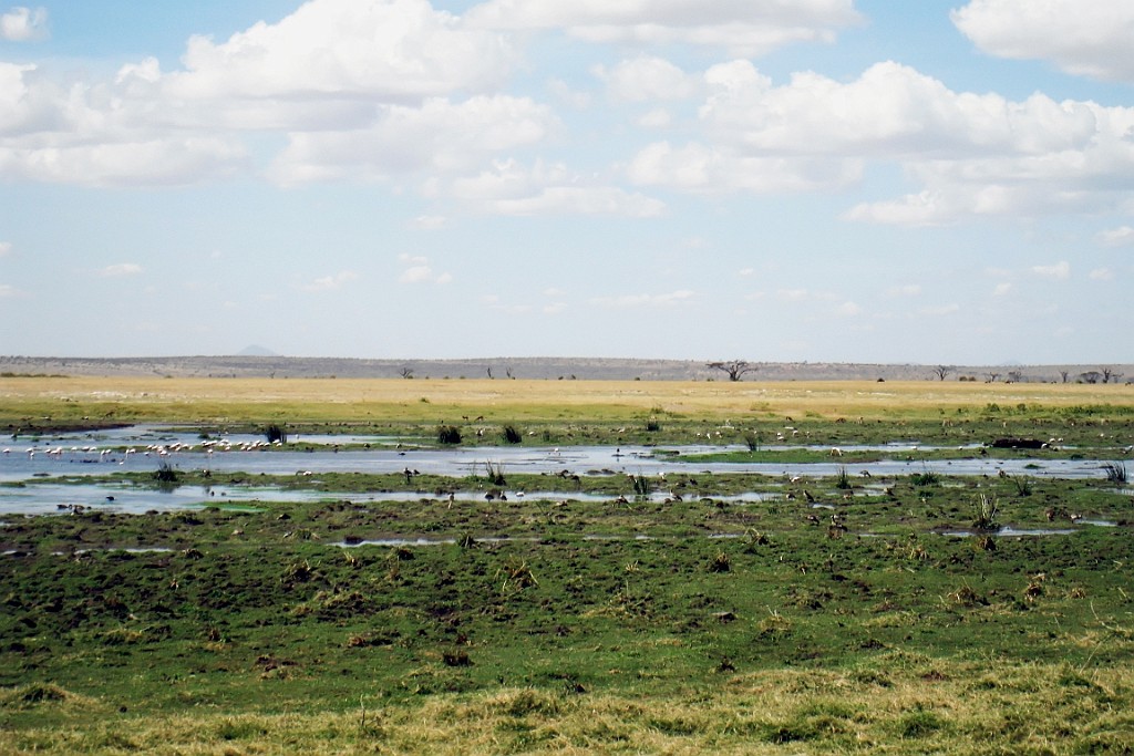Kenia (238).jpg